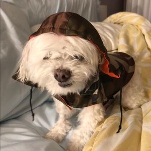 Meet your Posher, Trung